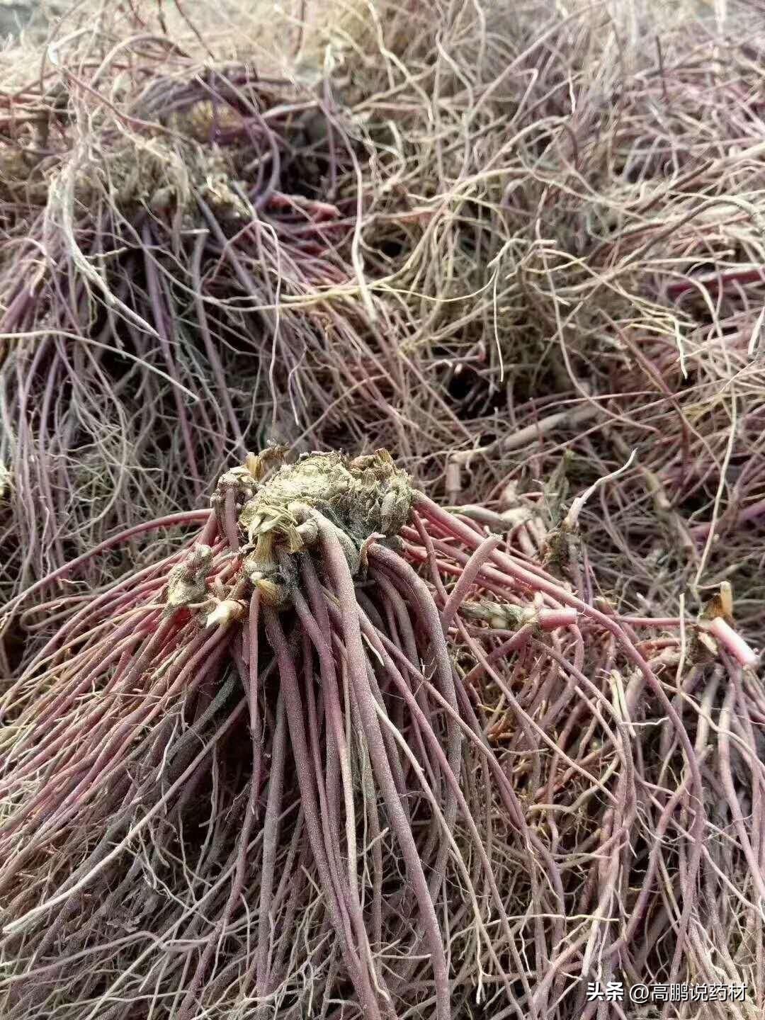 分析概述