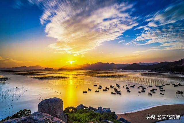霞浦最新消息揭秘，温馨有趣的日常故事展开