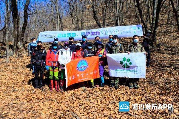 虎豹公园最新动态揭秘，自然之旅的呼唤 2017年更新
