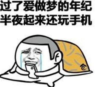 观点论述与解析