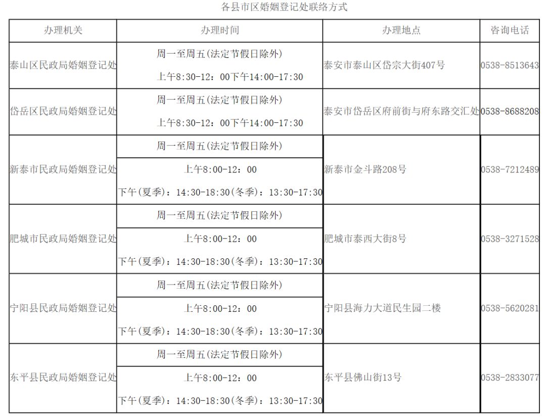 泰安市民政局最新公告揭秘，小巷深处的独特小店等你来探索！