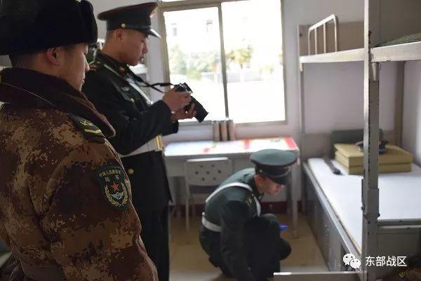 一只鸡的奇妙日常与友情故事，最新特色鸡探秘
