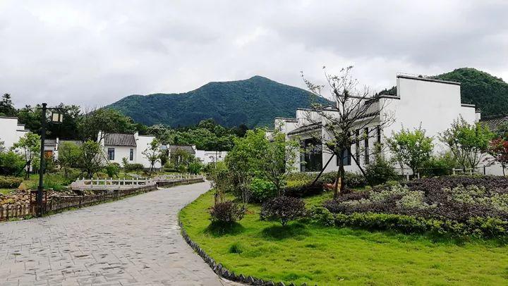 青黛新规，拥抱自然，启程寻找内心宁静之旅