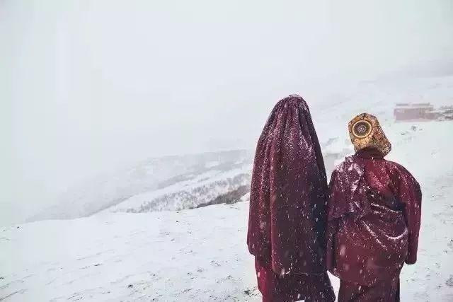 自然美景之旅，探寻内心平和，了解最新疫情动态