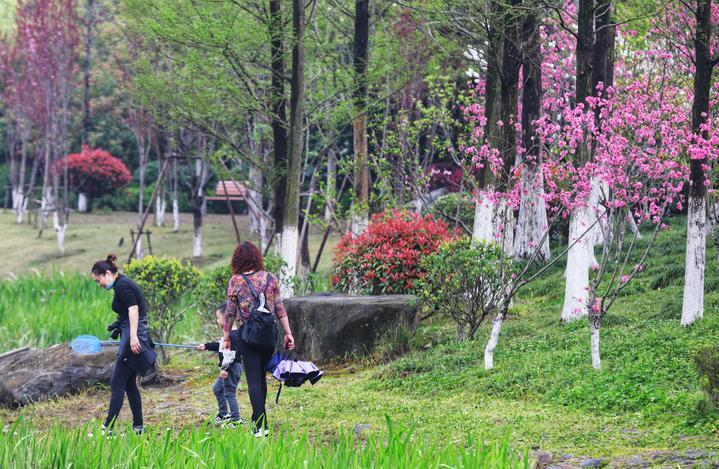 最新口罩坑，自然美景的奇妙探索之旅