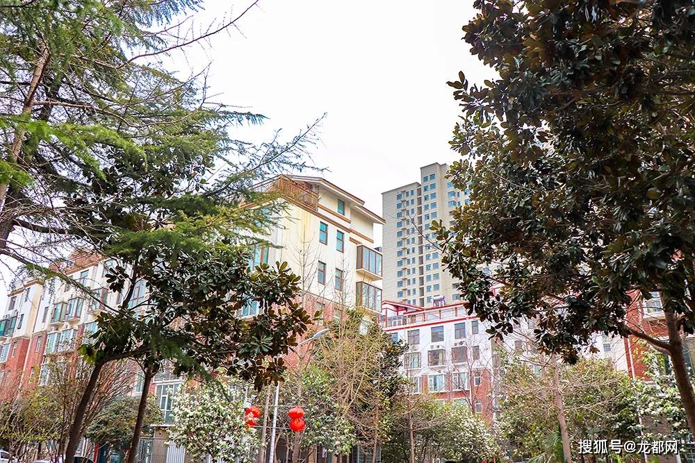 五一社区最新动态，多维度探讨与观点阐述