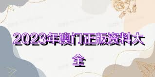 正版资料大全+正版资料2023年最新版下载,灵活执行方案_限量版51.956