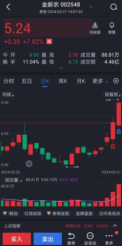 金新农股票最新动态，小巷深处的隐藏瑰宝揭秘