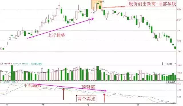 2024澳门免费最精准龙门,实际指标_炼皮境52.921