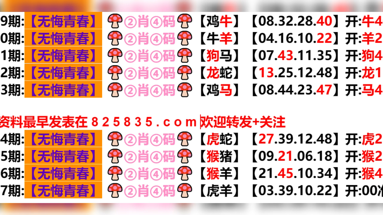 2024澳门天天开好彩大全凤凰天机,快速问题处理_掌中宝95.287