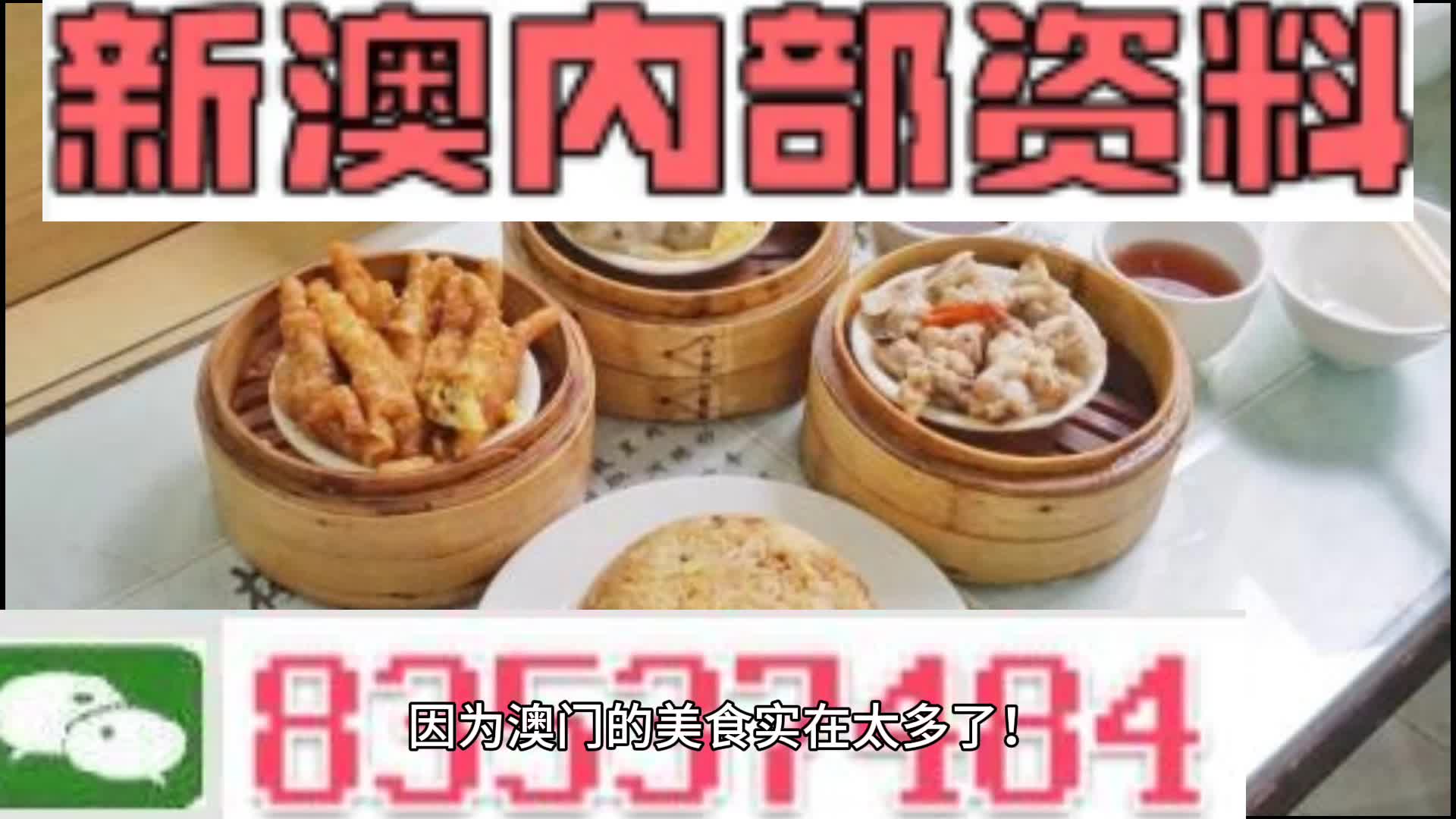 新奥门资料大全正版资料2024年免费下载,数据解释说明规划_服务器版9.808