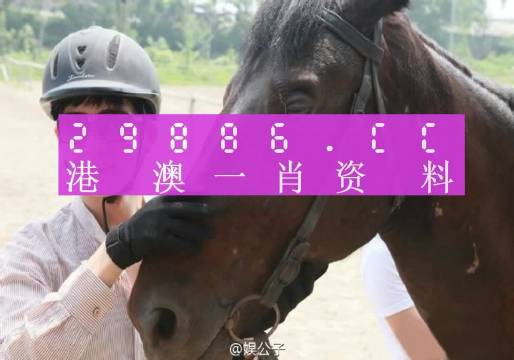 澳门一肖一码精准100王中王,具象化表达解说_专业版73.740