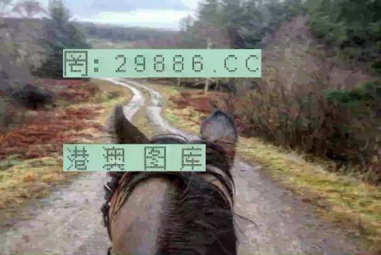 最准一肖一码一一香港澳王一王,最新碎析解释说法_并行版16.192
