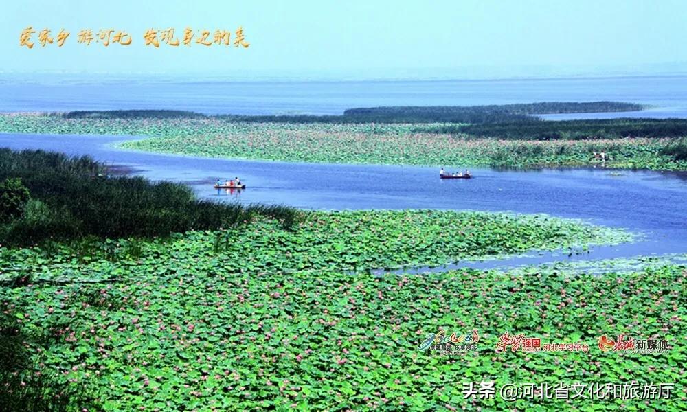 书法艺术中心 第289页