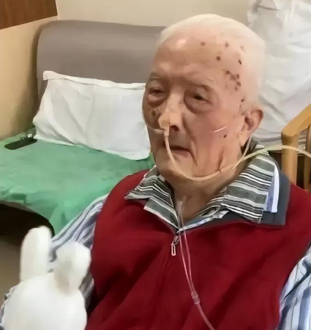 南通房价最新动态揭秘，小巷深处的隐藏价值