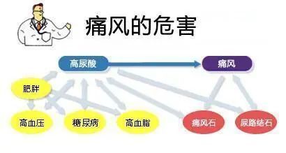 科技重塑健康，尿酸最新标准与智能监测引领新生活