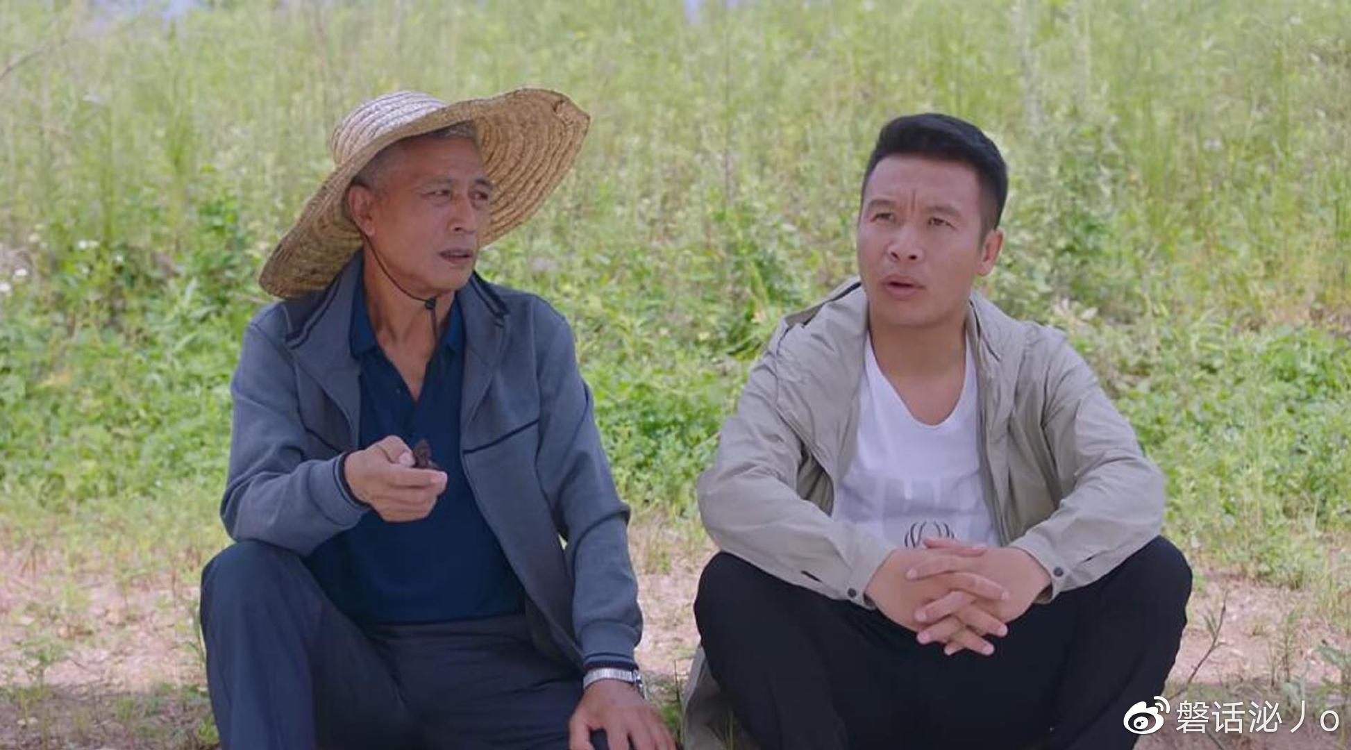 浩哥最新电影，自然美景的治愈之旅探索