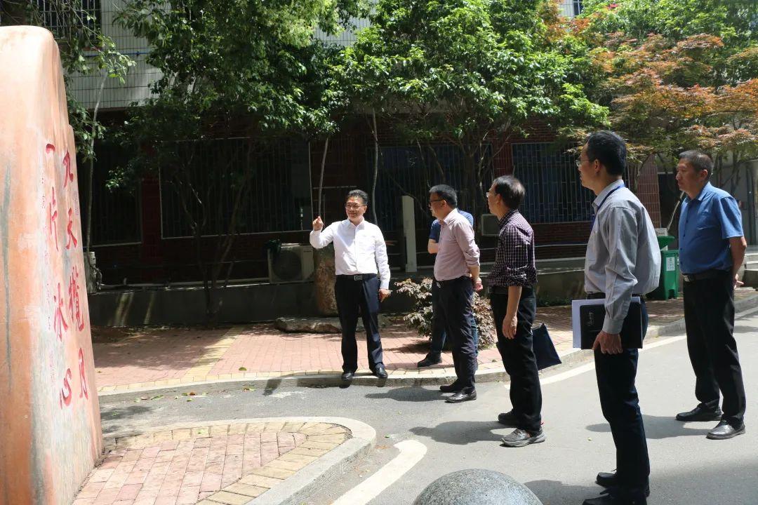 耒阳新风貌，城市动态与新闻速递