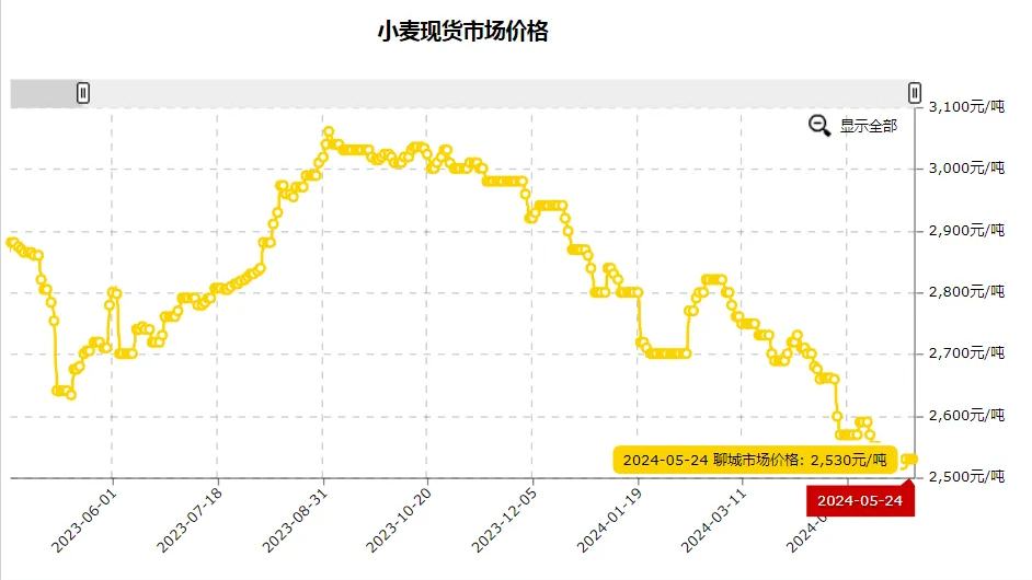 山东小麦价格最新行情揭秘，小巷麦香传奇探秘