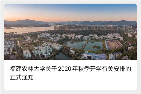 龙港批市最新消息2017，市场更新与一段动人的友情故事揭秘