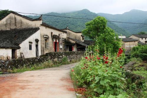 安溪湖上乡最新动态，小巷深处的独特风味