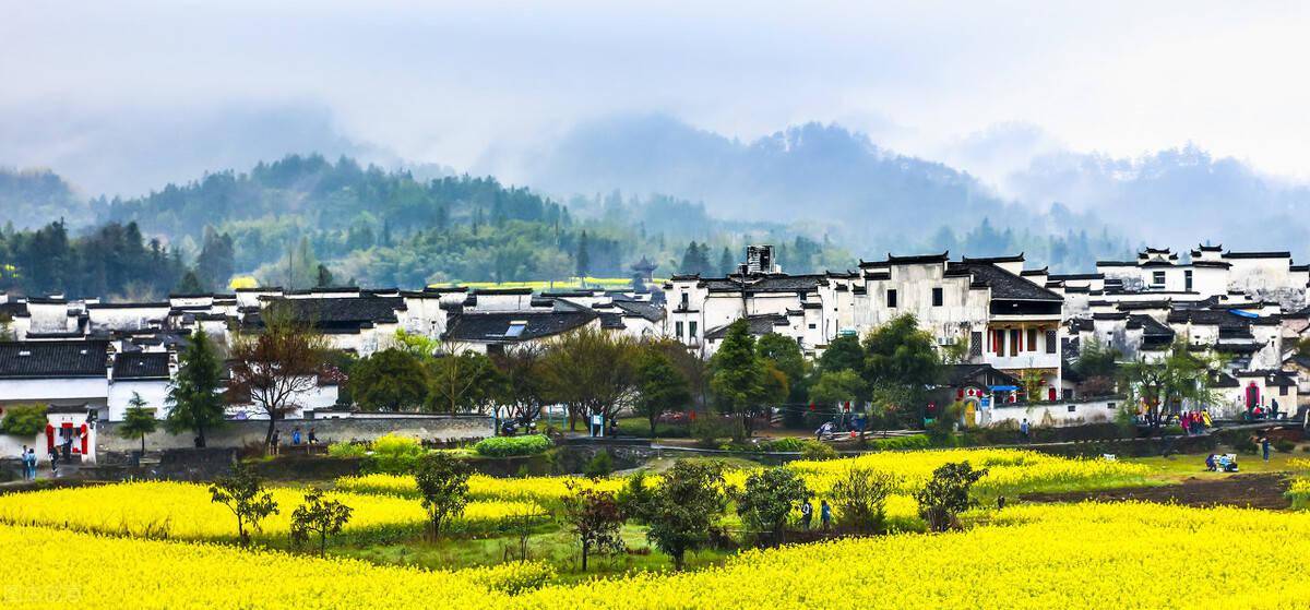 椒江白岳村最新动态，温馨日常的点滴记录