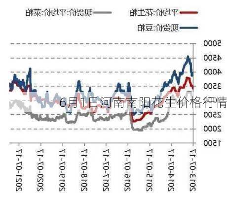 南阳市花生米最新价格及市场走势与影响因素深度解析