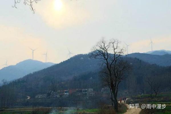 湖北省大悟县最新动态揭秘，发展指南与参与方式